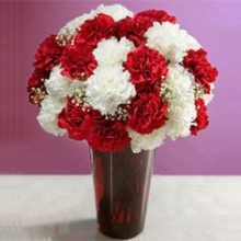 White & Red Carnations  in a vase